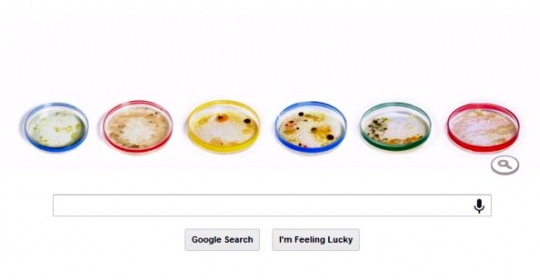 Petri Dish Google Doodle