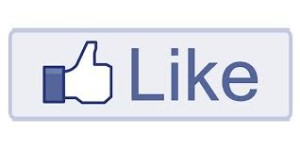 Social Media Criticism Facebook Like