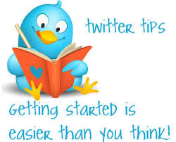 Twitter Tips Cute Bird